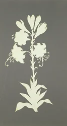 Fiore